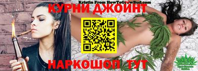 сатива Новодвинск