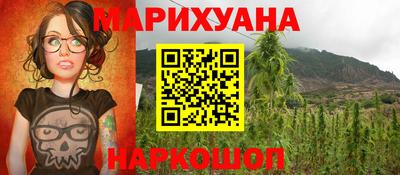 сатива Новодвинск