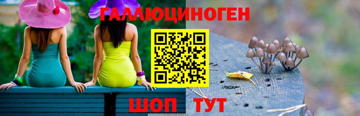 Псилоцибиновые грибы мицелий  Псилоцибиновые грибы Cubensis  Геленджик  Вход с VPN 